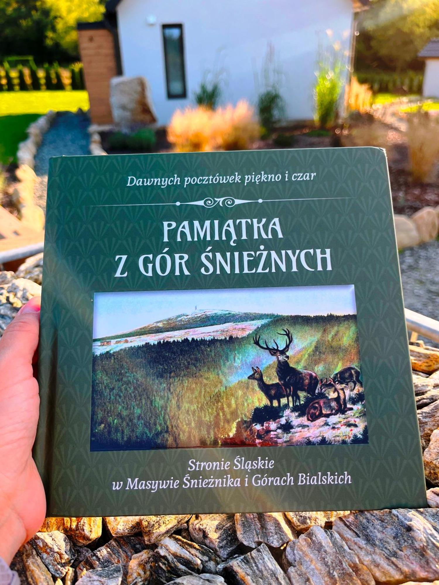 Willa Galena I Gnejs Stronie Śląskie Zewnętrze zdjęcie
